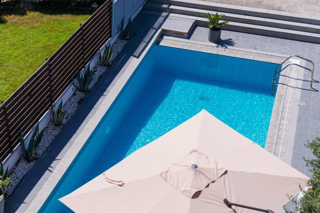 Villa Olion Афітос Екстер'єр фото
